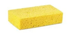 Sponges